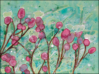 "flores"